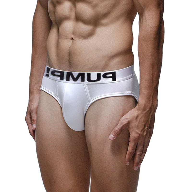 Low Waist Cotton Men's Underwear Y front briefs